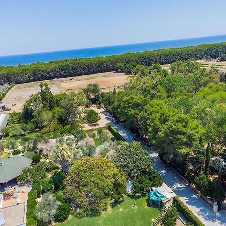 Bio Agriturismo Salos Alimini Zewnętrze zdjęcie