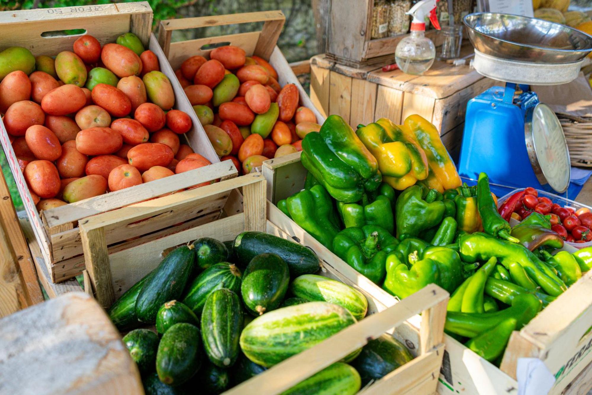 Bio Agriturismo Salos Alimini Zewnętrze zdjęcie
