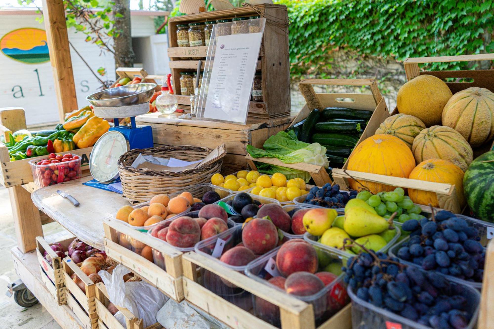 Bio Agriturismo Salos Alimini Zewnętrze zdjęcie